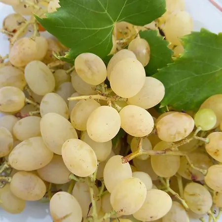 펜션 A Casa Di Luchino 토레 바도