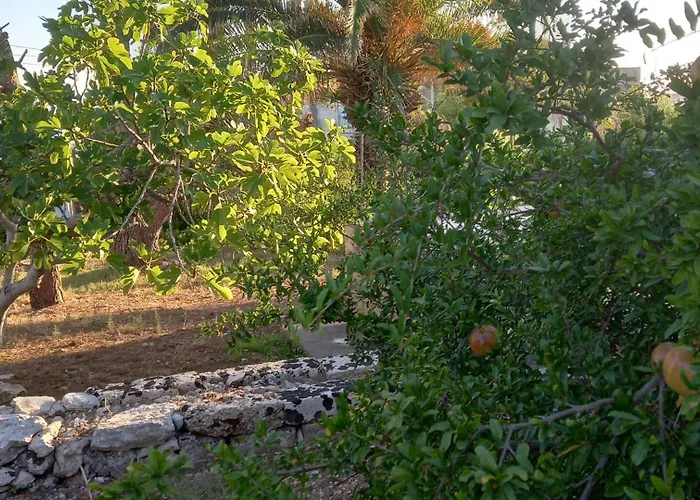 A Casa Di Luchino 펜션 토레 바도